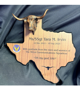 Texas State Plaque with Longhorn