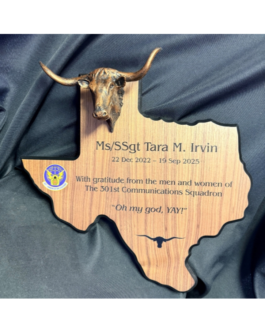 Texas State Plaque with Longhorn