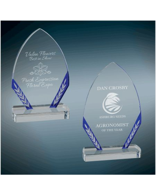 Blue Edge Glass Award