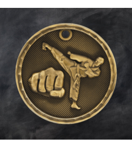 3D Series Medal, Martial Arts