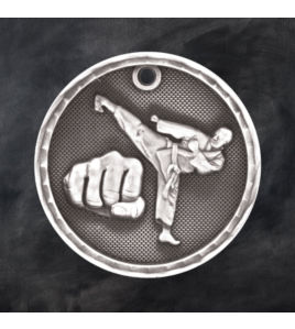 3D Series Medal, Martial Arts