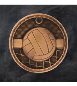 3D Series Medal, Volleyball