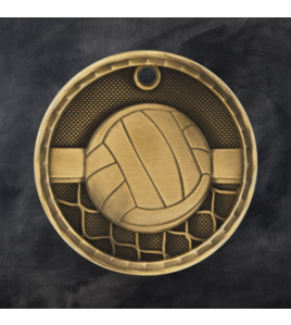 3D Series Medal, Volleyball