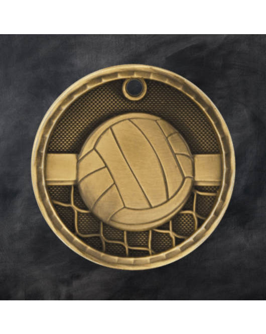 3D Series Medal, Volleyball