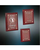 Piano Finish Plaque with Floating Acrylic Plate