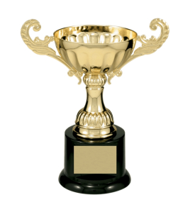 Metal Cup Trophy, 10 Series