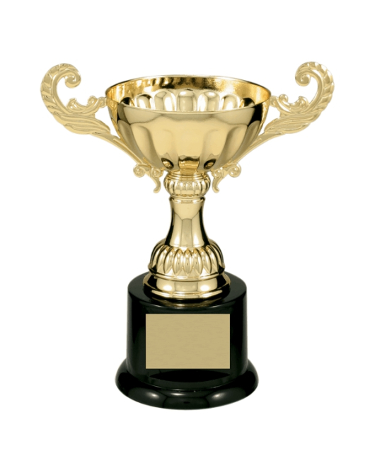 Metal Cup Trophy, 10 Series