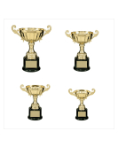 Metal Cup Trophy, 10 Series