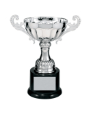 Metal Cup Trophy, 10 Series