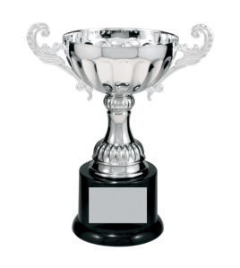Metal Cup Trophy, 10 Series