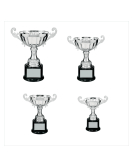 Metal Cup Trophy, 10 Series