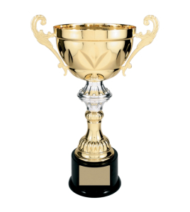 Metal Cup Trophy, 20 Series