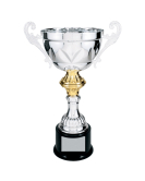 Metal Cup Trophy, 20 Series
