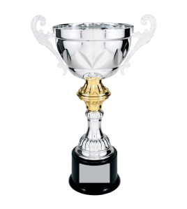 Metal Cup Trophy, 20 Series