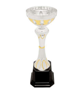Metal Cup Trophy, 29 Series