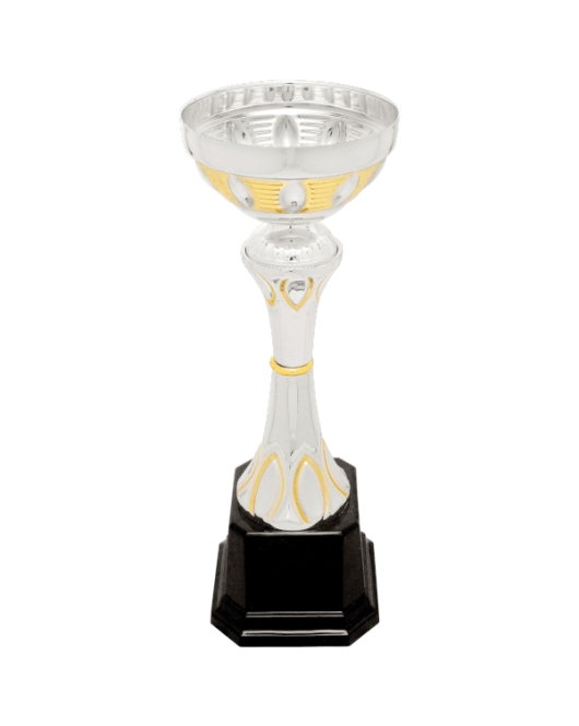 Metal Cup Trophy, 29 Series
