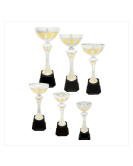 Metal Cup Trophy, 29 Series