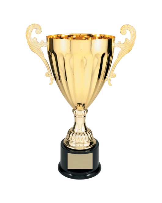Metal Cup Trophy, 30 Series