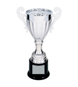 Metal Cup Trophy, 30 Series