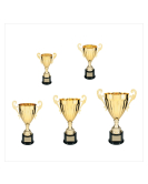 Metal Cup Trophy, 30 Series