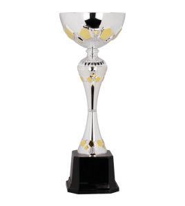 Metal Cup Trophy, 31 Series