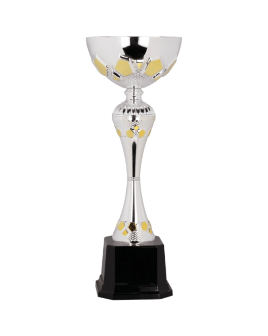 Metal Cup Trophy, 31 Series