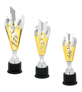 Metal Star Cup Trophy