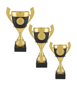 Plastic Cup Trophy, 30 Series