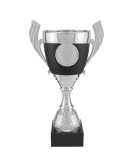 Plastic Cup Trophy, 30 Series