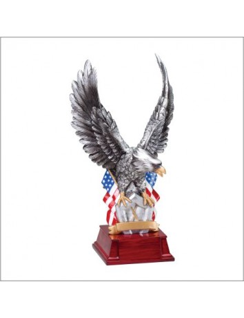 Silver Eagle on Flag - Hand-painted