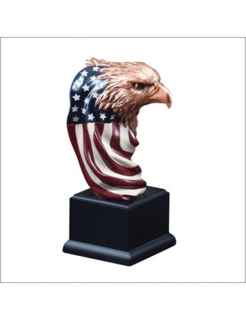 Eagle Head on Flag 