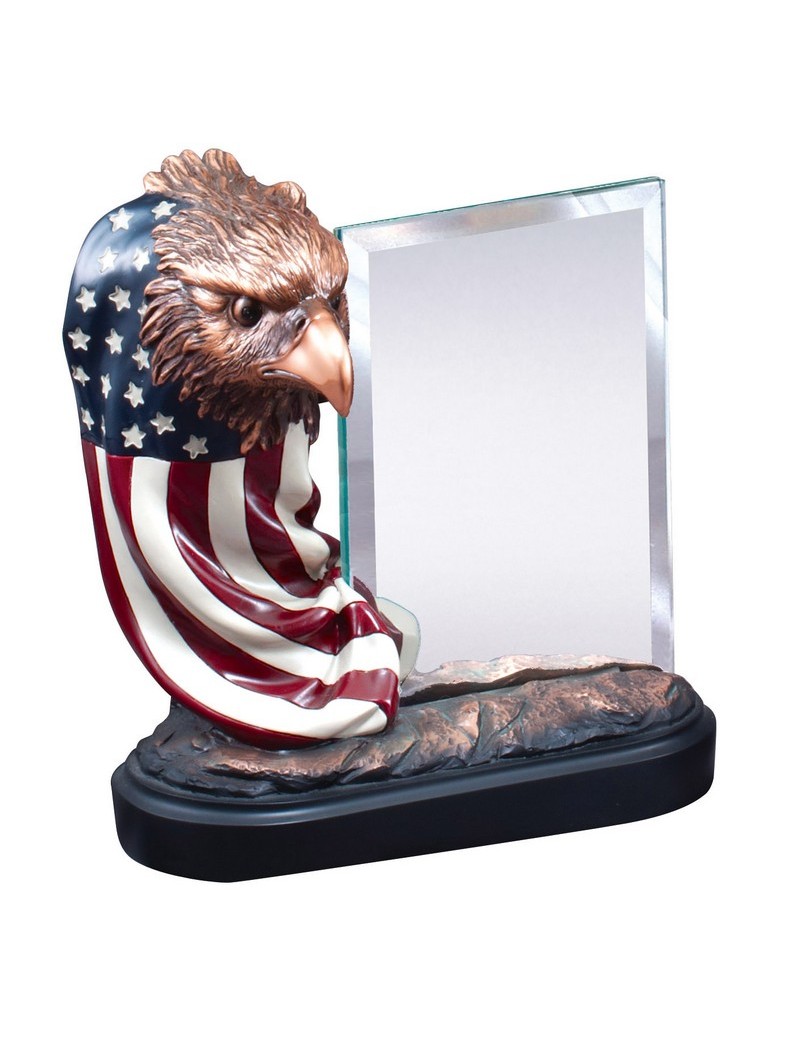 Eagle Head on Flag with Glass
