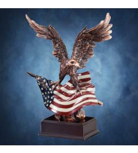 Eagle on Flag