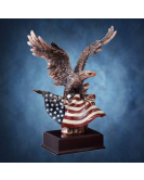 Eagle on Flag