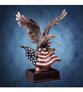 Eagle on Flag