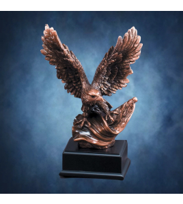 Bronze Eagle on Flag, Black Base