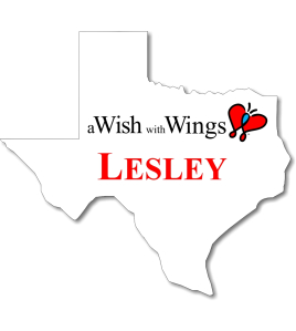 Texas Shaped Nametag