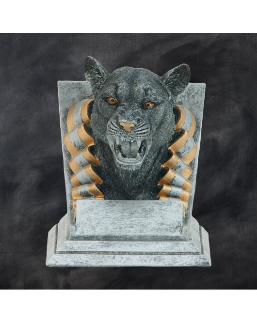 Spirit Mascot, Cougar