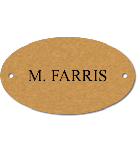 Brass Oval Locker Plate, 2 x 3.5