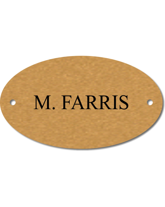 Brass Oval Locker Plate, 2 x 3.5