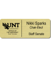 UNT Staff Senate