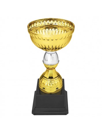Completed Gold & Silver Cup