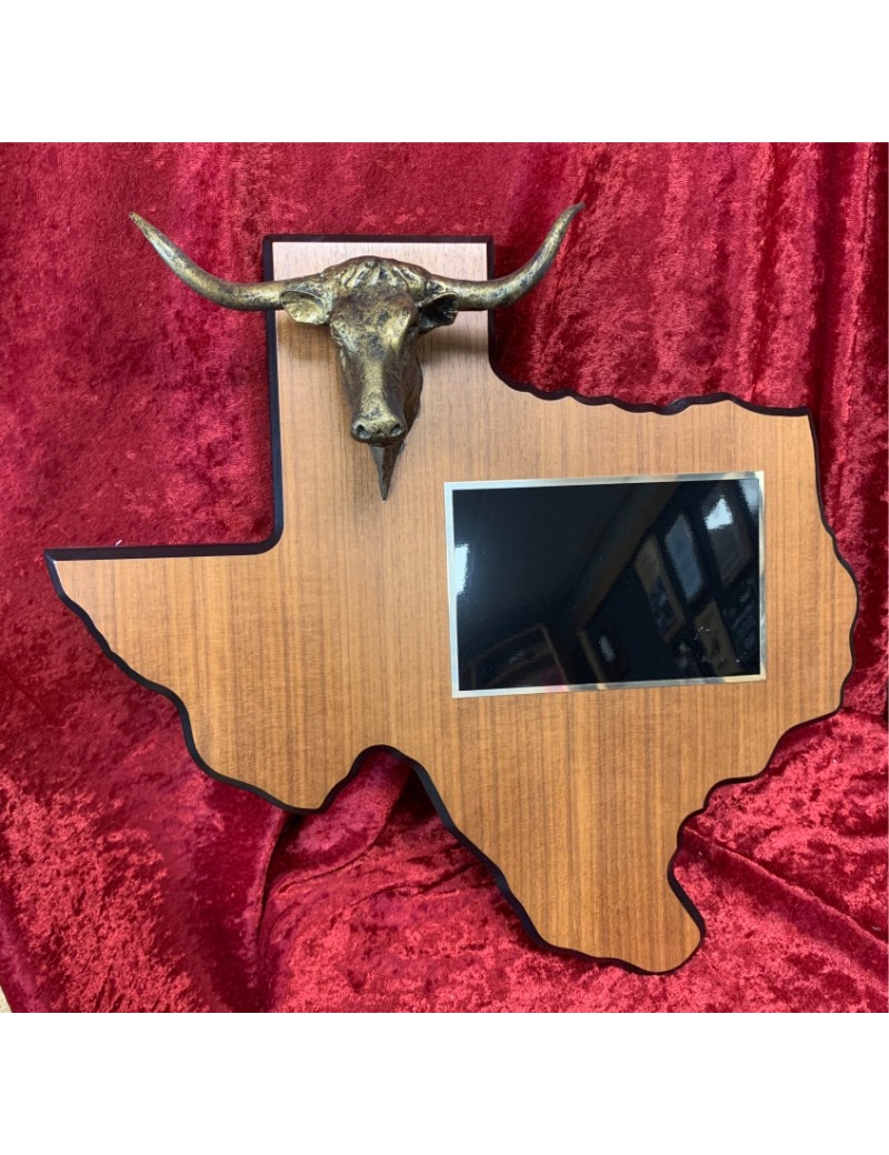 Longhorn Texas Plaque